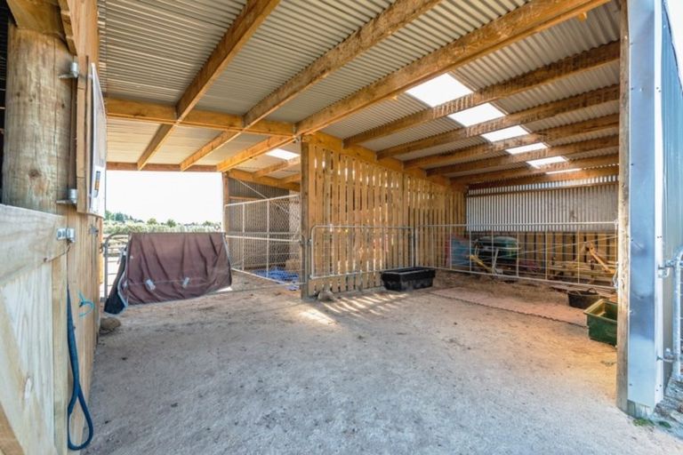 Photo of property in 164a Awahuri Feilding Road, Feilding, 4775