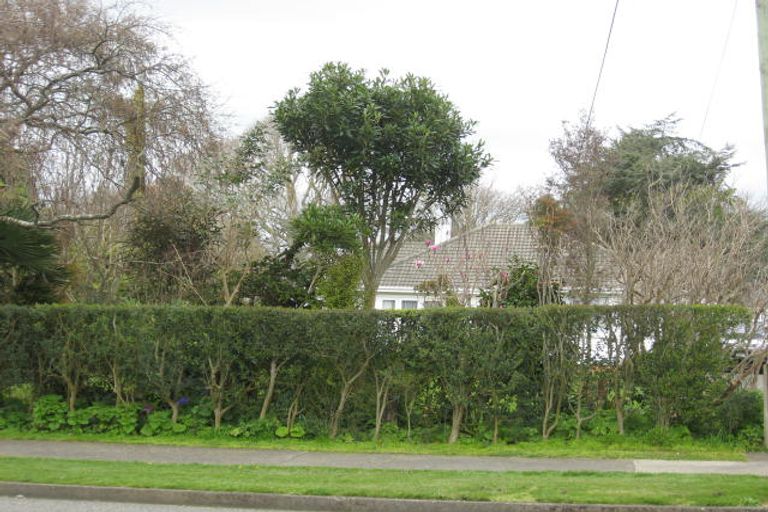 Photo of property in 110 Weraroa Road, Levin, 5510