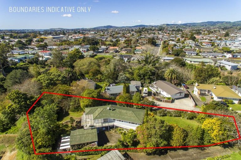 Photo of property in 48 Manson Street, Gate Pa, Tauranga, 3112