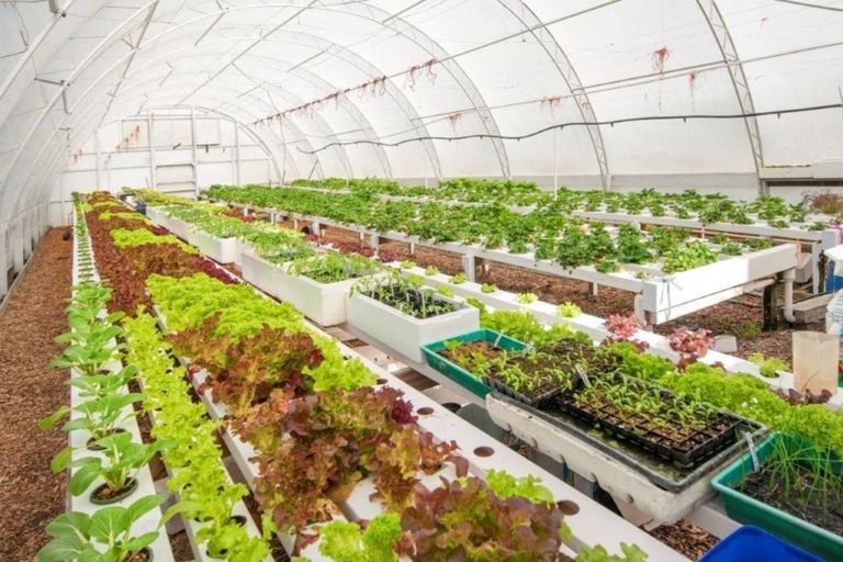 Photo of property in 12/14 Anson Street, Kirwee, Darfield, 7571