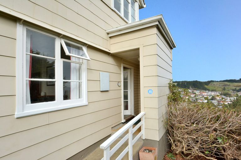 Photo of property in 46 Panmure Avenue, Calton Hill, Dunedin, 9012