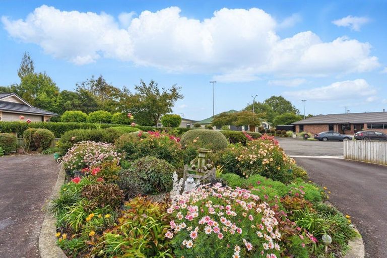Photo of property in 19 Kauri Place, Pahiatua, 4910