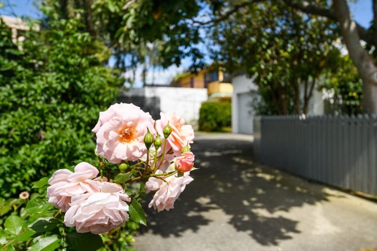 Photo of property in 264 Park Road, Hokowhitu, Palmerston North, 4410
