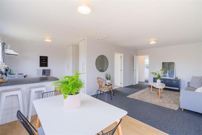 Photo of property in 45 Green Avenue, Levin, 5510