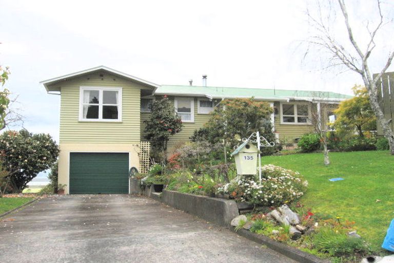 Photo of property in 135 Brunton Crescent, Thames, 3500