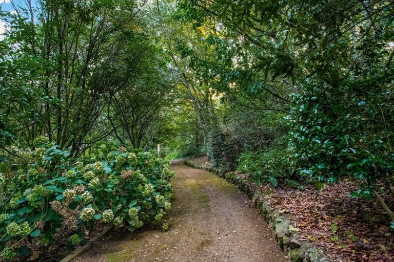 Photo of property in 26 Clifford Road, Pukekohe, 2678