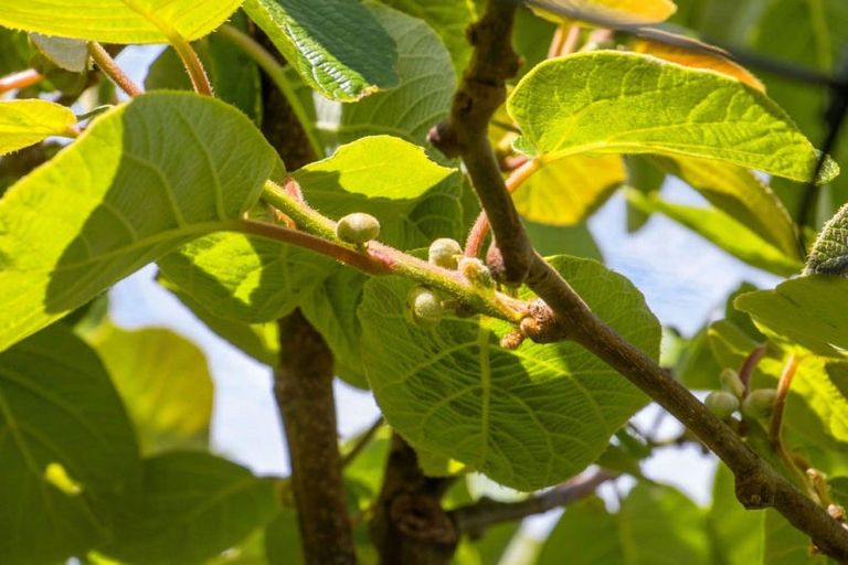 Photo of property in 76 Pukakura Road, Katikati, 3178