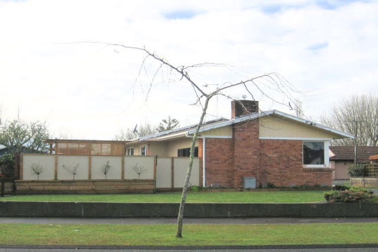 Photo of property in 127 Fitzroy Avenue, Fitzroy, Hamilton, 3206