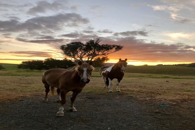 Photo of property in 316 Ruaroa Road, Kaitaia, 0482