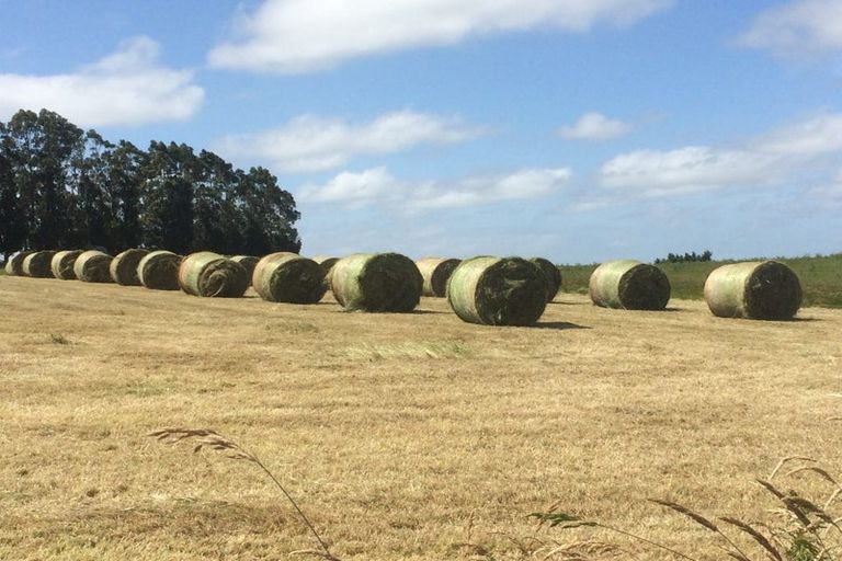 Photo of property in 86 Totara Island Road, Clifton, Balclutha, 9273