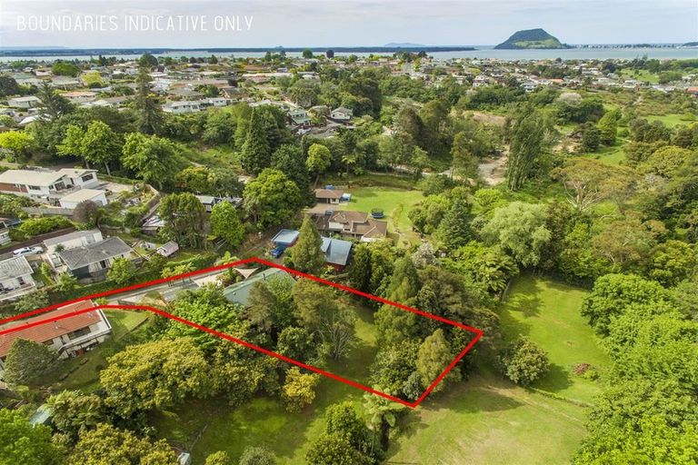 Photo of property in 17 Fairmont Terrace, Otumoetai, Tauranga, 3110