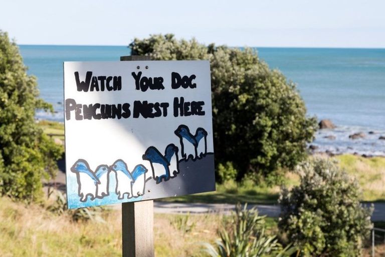 Photo of property in 25 Tiromoana Crescent, Bell Block, New Plymouth, 4312