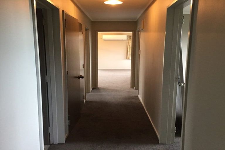 Photo of property in 30 Puketai Street, Andersons Bay, Dunedin, 9013