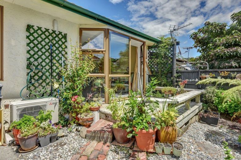 Photo of property in 11/17 Waimea Road, Nelson South, Nelson, 7010