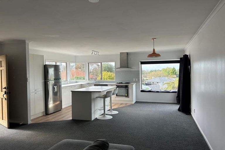 Photo of property in 15b Ridout Street, Maeroa, Hamilton, 3200