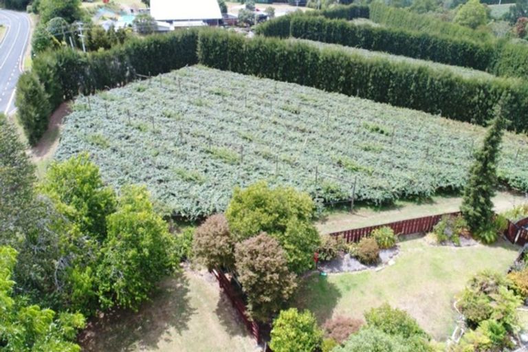 Photo of property in 78 Plummers Point Road, Whakamarama, Tauranga, 3172