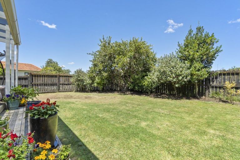 Photo of property in 15 Galway Avenue, Hamilton East, Hamilton, 3216