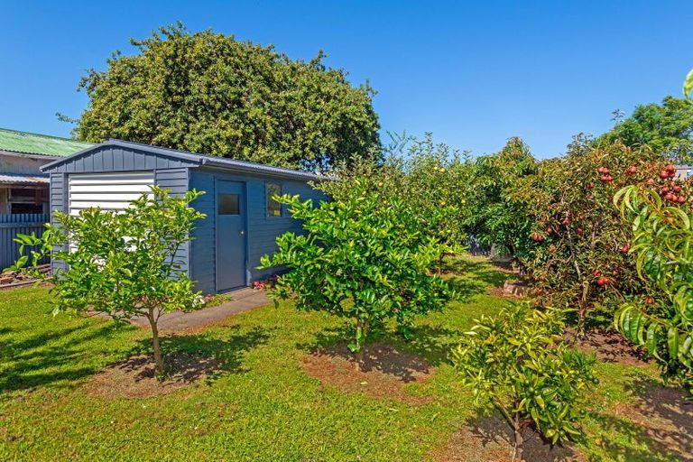 Photo of property in 44 Albert Street, Te Hapara, Gisborne, 4010