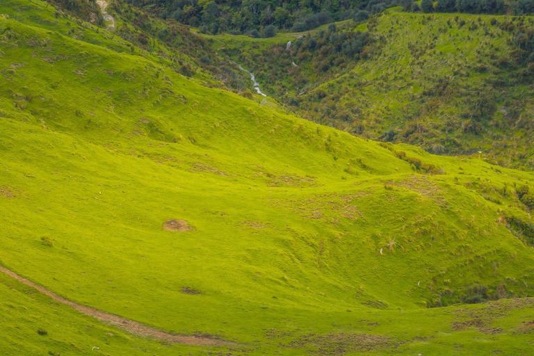 Photo of property in 987 Mangaehu Road, Puniwhakau, Stratford, 4392