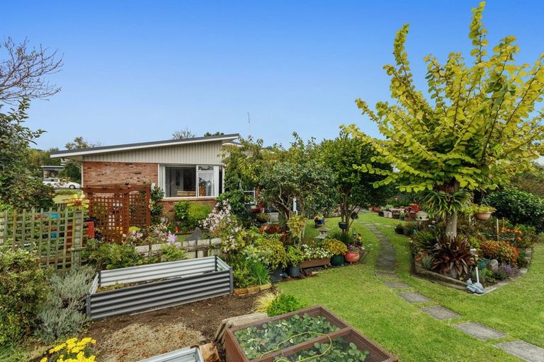 Photo of property in 14 Henderson Street, Whakatane, 3120