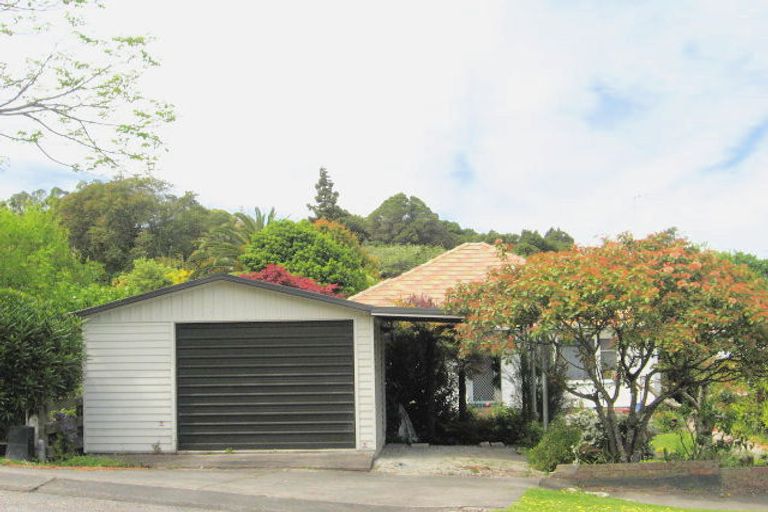 Photo of property in 17 Sievwright Lane, Whataupoko, Gisborne, 4010