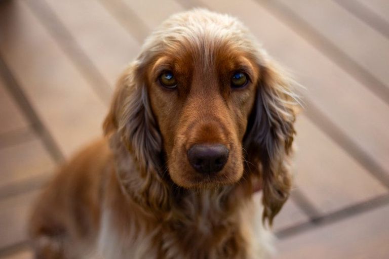 Photo of property in 16 Thompson Road, Kaitaia, 0481