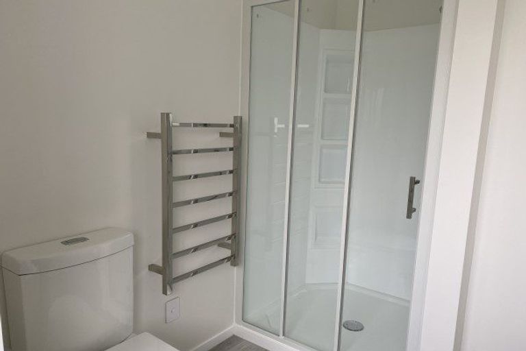 Photo of property in 77a Guy Avenue, Takaro, Palmerston North, 4410