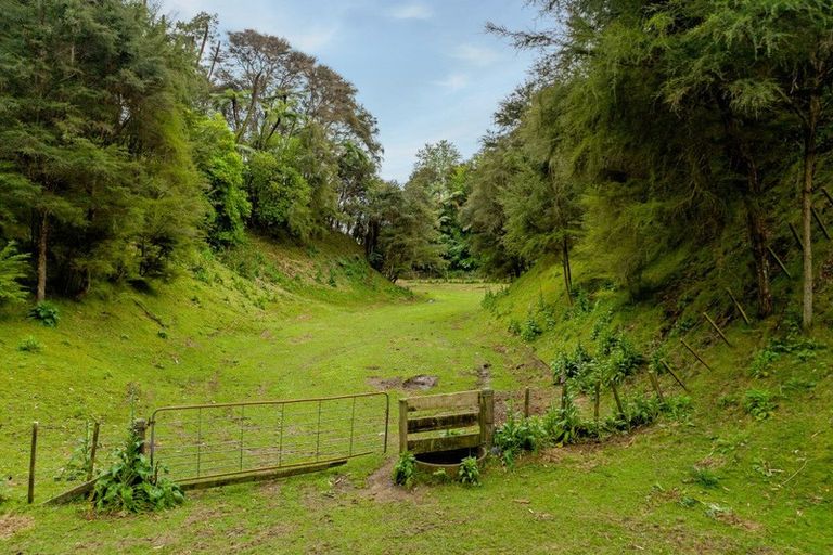 Photo of property in 18 Williams Drive, Te Puke, 3119