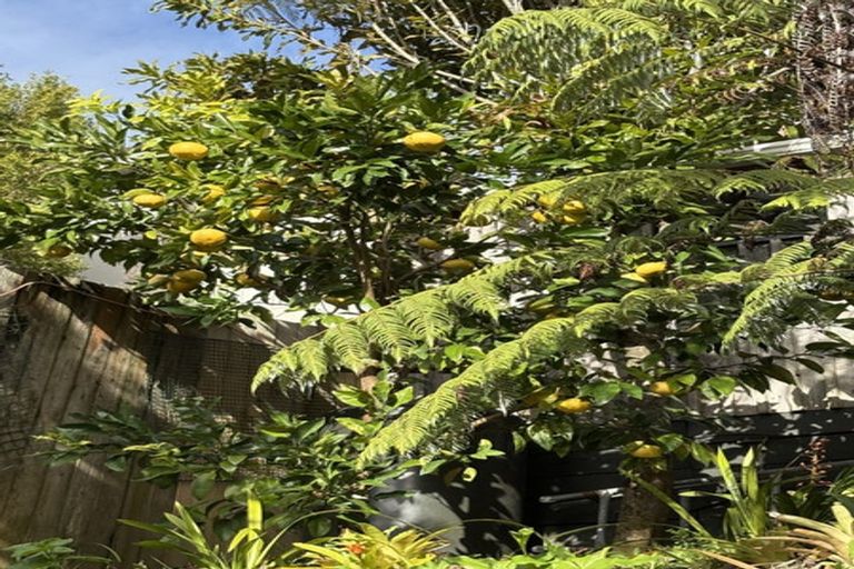 Photo of property in 1/307 East Coast Road, Mairangi Bay, Auckland, 0630