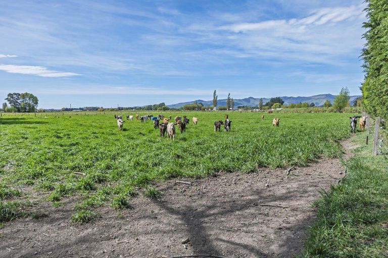 Photo of property in 41 Poplar Lane, Lincoln, Christchurch, 7674