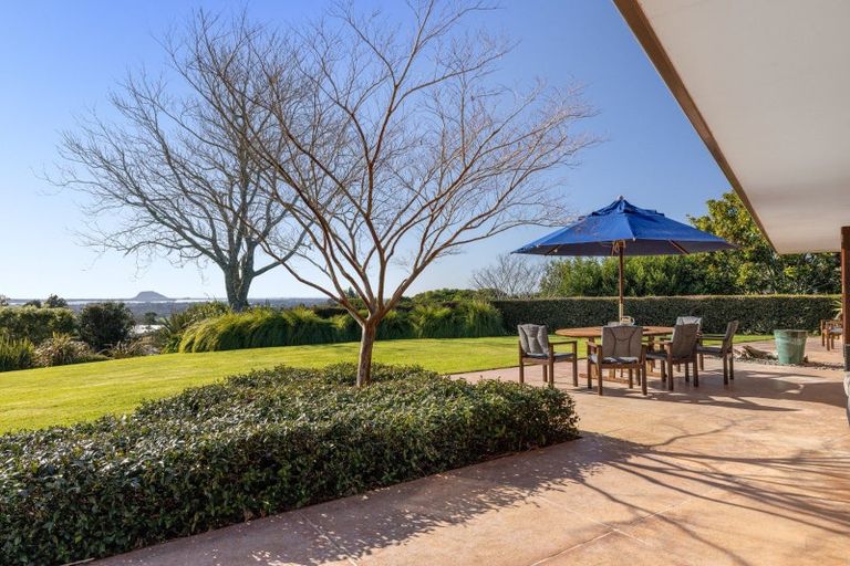 Photo of property in 196 Whakamarama Road, Whakamarama, Tauranga, 3179