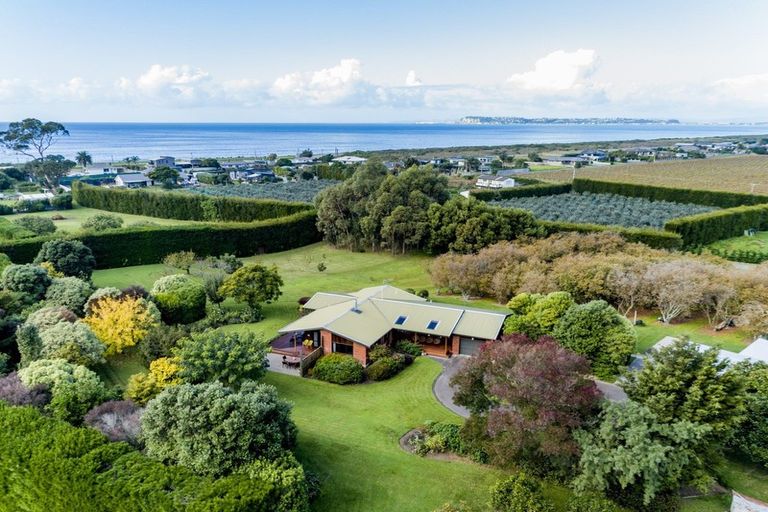 Photo of property in Li199b, 14 Scarrott Road, Bay View, Napier, 4104