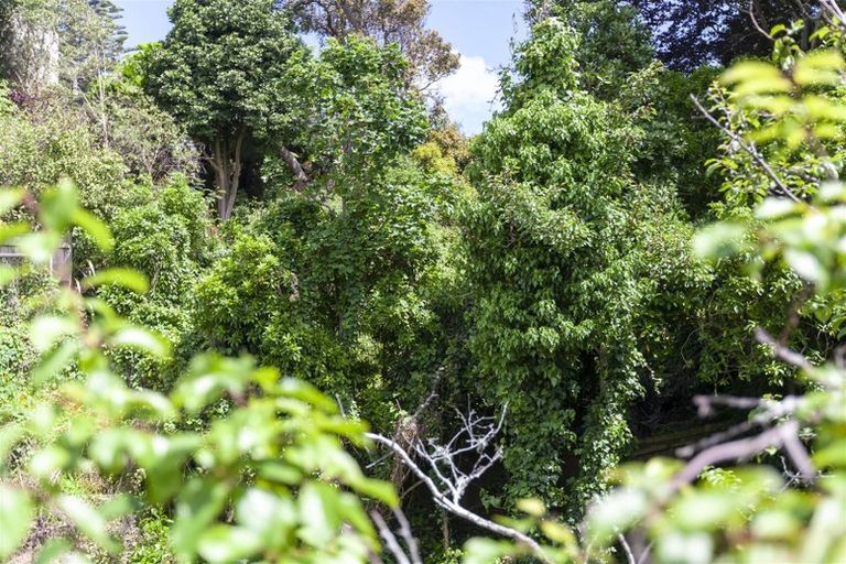 Photo of property in 21 Renown Road, Raumati South, Paraparaumu, 5032