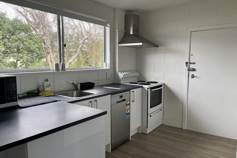 Photo of property in 1/158 Kings Crescent, Hutt Central, Lower Hutt, 5010