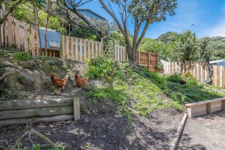 Photo of property in 175 Houghton Bay Road, Houghton Bay, Wellington, 6023