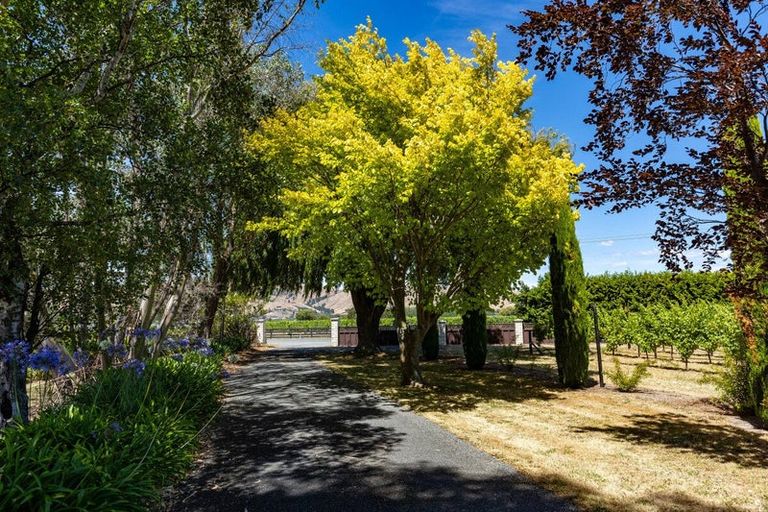 Photo of property in 3009 State Highway 1, Riverlands, Blenheim, 7274