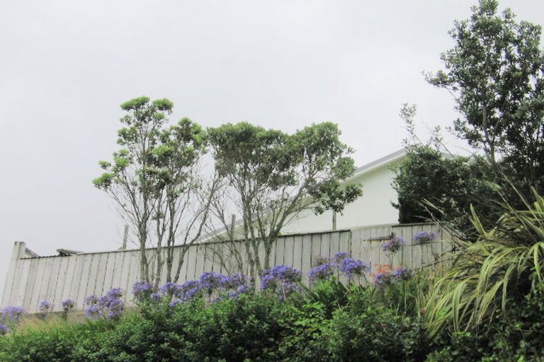 Photo of property in 5 Cheesman Street, Brooklyn, Wellington, 6021