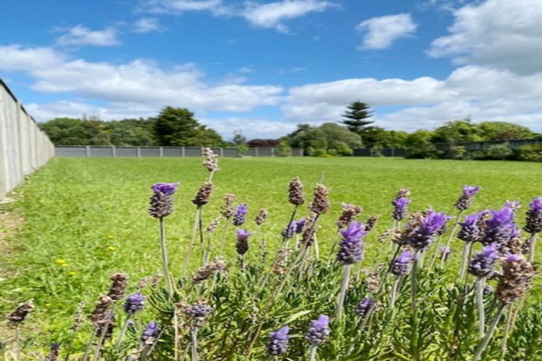 Photo of property in 4 Ngaio Street, Levin, 5510