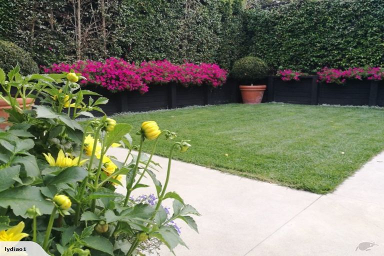 Photo of property in 17 England Street, Freemans Bay, Auckland, 1011