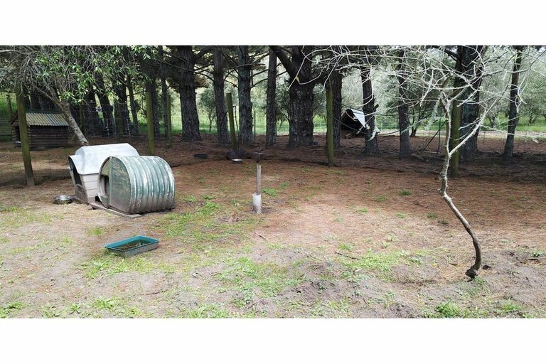 Photo of property in 4560 Pouto Road, Pouto, Te Kopuru, 0391