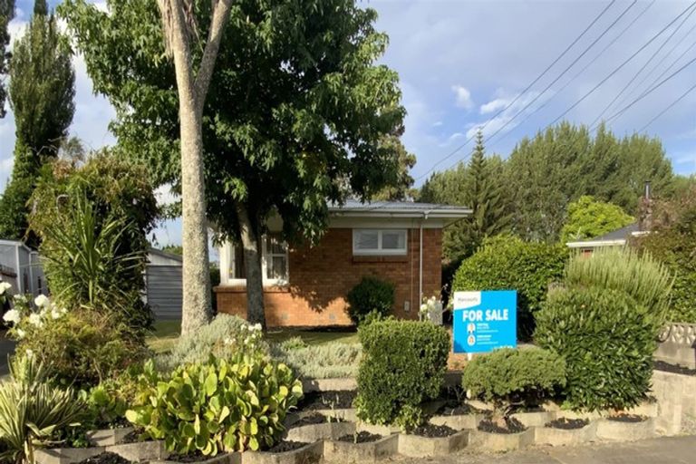 Photo of property in 115 Fitzroy Avenue, Fitzroy, Hamilton, 3206