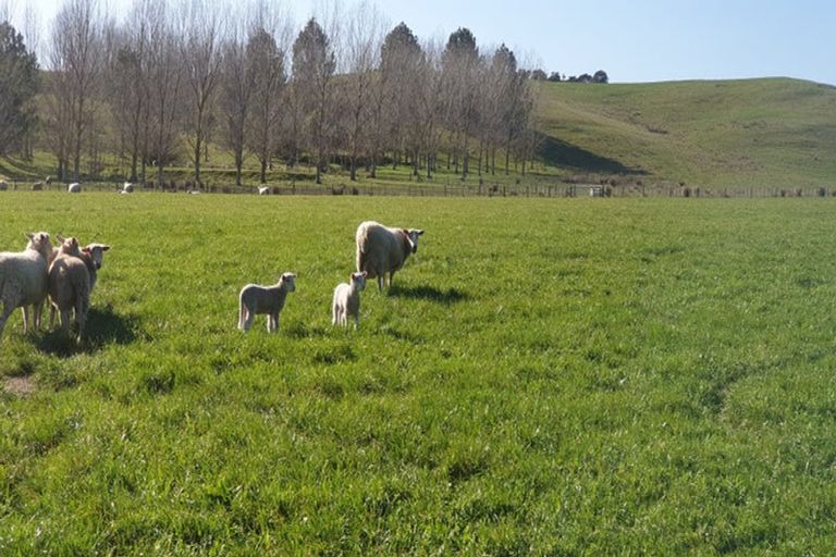 Photo of property in 11 Ahiaruhe Road, Ahiaruhe, Carterton, 5792