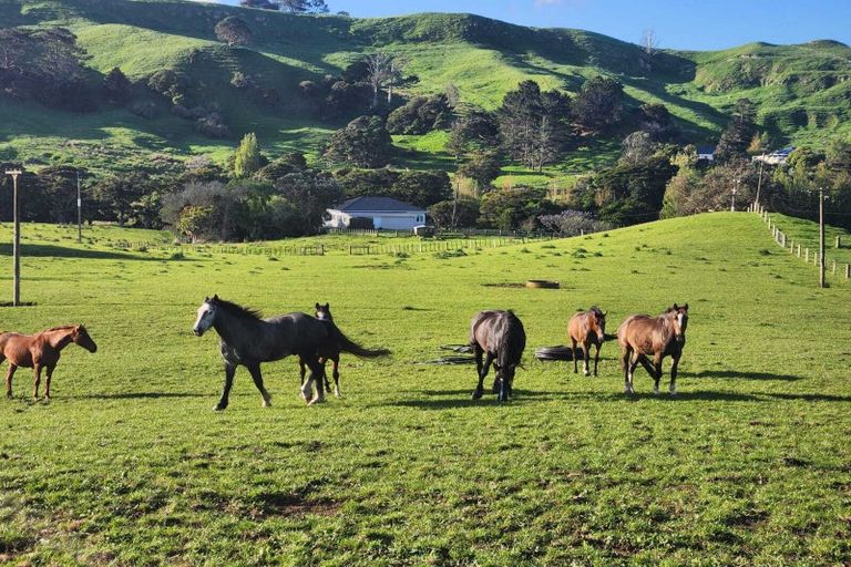 Photo of property in 899 Te Akau Road, Te Akau, Ngaruawahia, 3793