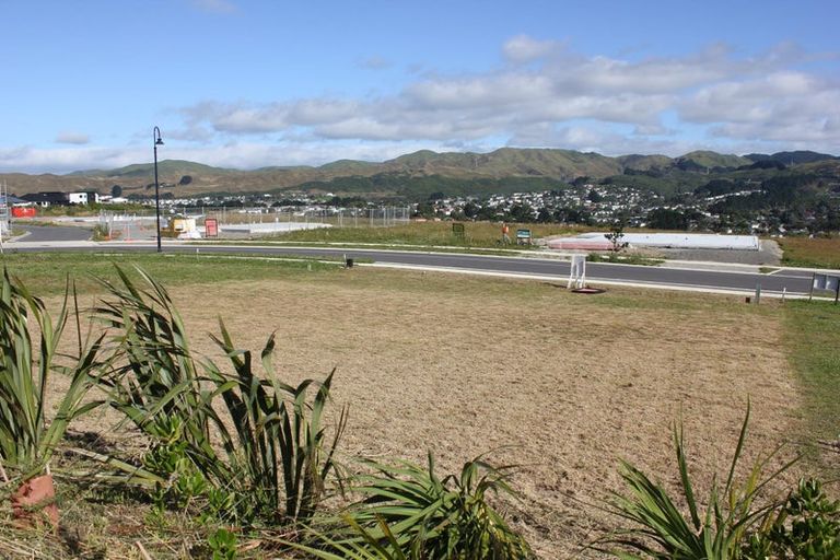 Photo of property in 207 John Burke Drive, Aotea, Porirua, 5024
