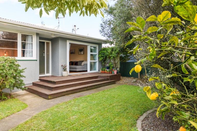 Photo of property in 458 Ruahine Street, Terrace End, Palmerston North, 4410