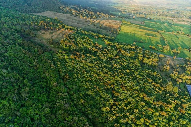 Photo of property in 759 Mount Fyffe Road, Kaikoura Flat, Kaikoura, 7371