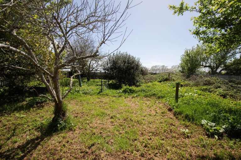 Photo of property in 17 Orchard East Road, Ngatea, 3503