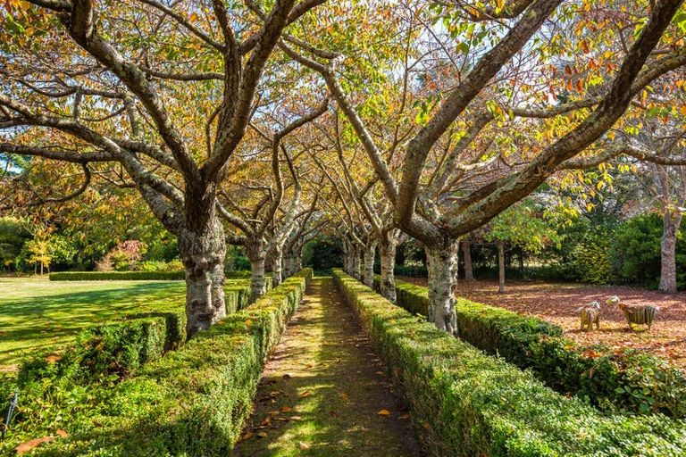 Photo of property in 836 State Highway 2, Opaki, Masterton, 5881