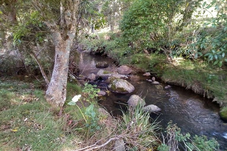 Photo of property in 305 Pungaere Road, Waipapa, Kerikeri, 0295