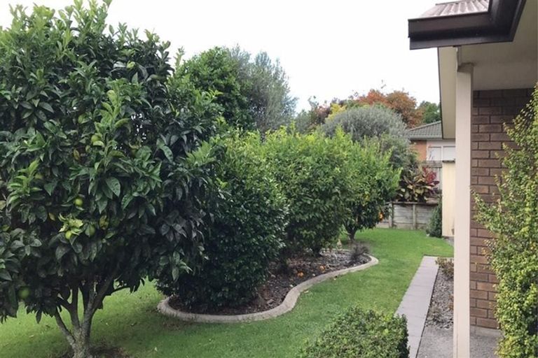 Photo of property in 241 Cheyne Road, Pyes Pa, Tauranga, 3112